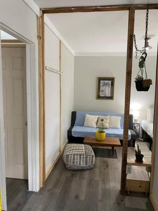 Studio Apt W Garden Кінгстон Екстер'єр фото