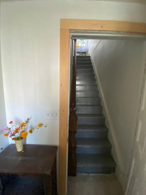 Studio Apt W Garden Кінгстон Екстер'єр фото