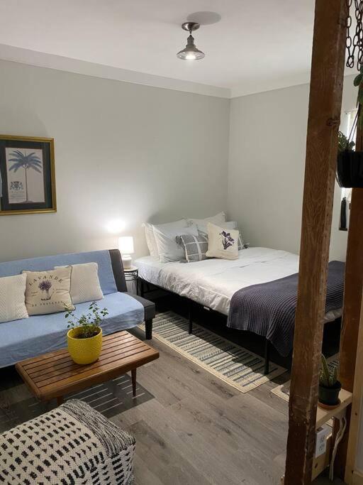 Studio Apt W Garden Кінгстон Екстер'єр фото